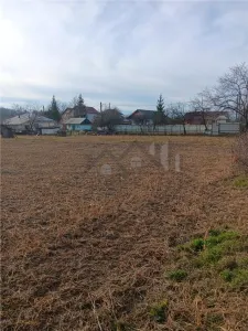 Teren 3500mp Paun Bucium la asfalt cu toate utilitatile - foto 4