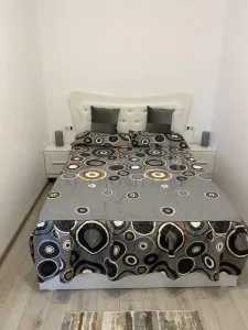 Apartament 2 camere zona Tatarasi - foto 4