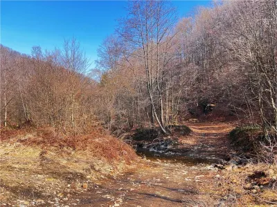 1,10 ha teren intravilan in Baita - foto 5