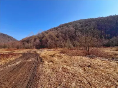 1,10 ha teren intravilan in Baita - foto 8