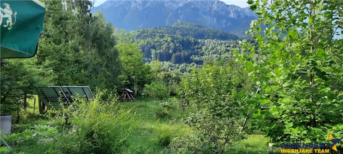 Complex turistic cu traditie,integrat in circuit, Rezervatia Naturala Piata Craiului - foto 12