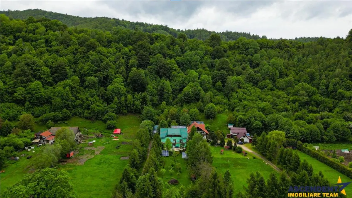 Complex turistic cu traditie,integrat in circuit, Rezervatia Naturala Piata Craiului - foto 23