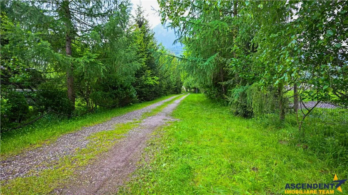Complex turistic cu traditie,integrat in circuit, Rezervatia Naturala Piata Craiului - foto 6