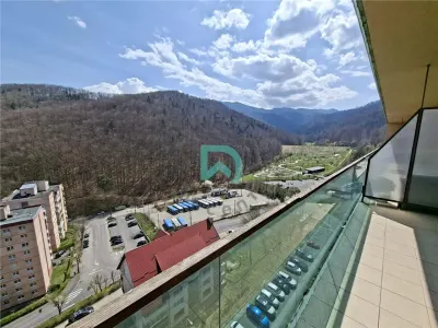 Chirie Tampa Gardens - Brasov