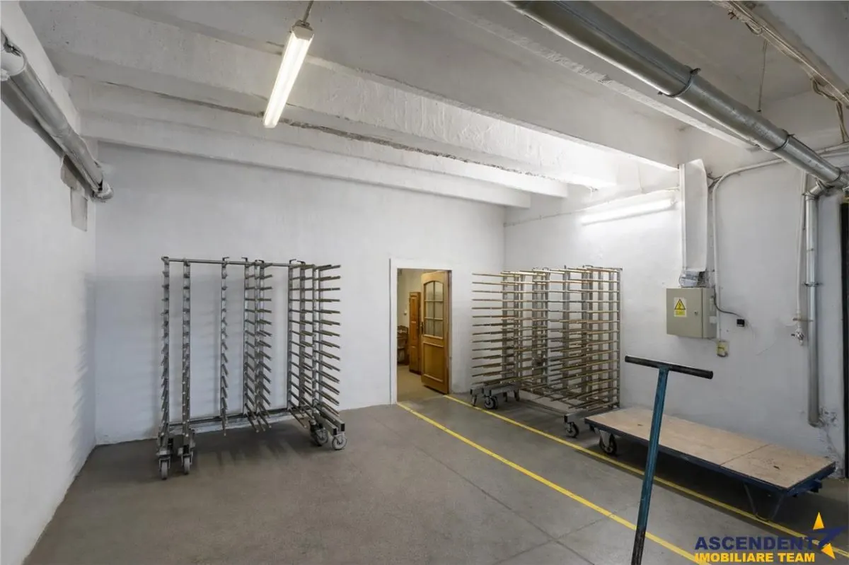 Parc industrial modernizat, acces bilateral, potential remarcabil, Sfantu Gheorghe - foto 12