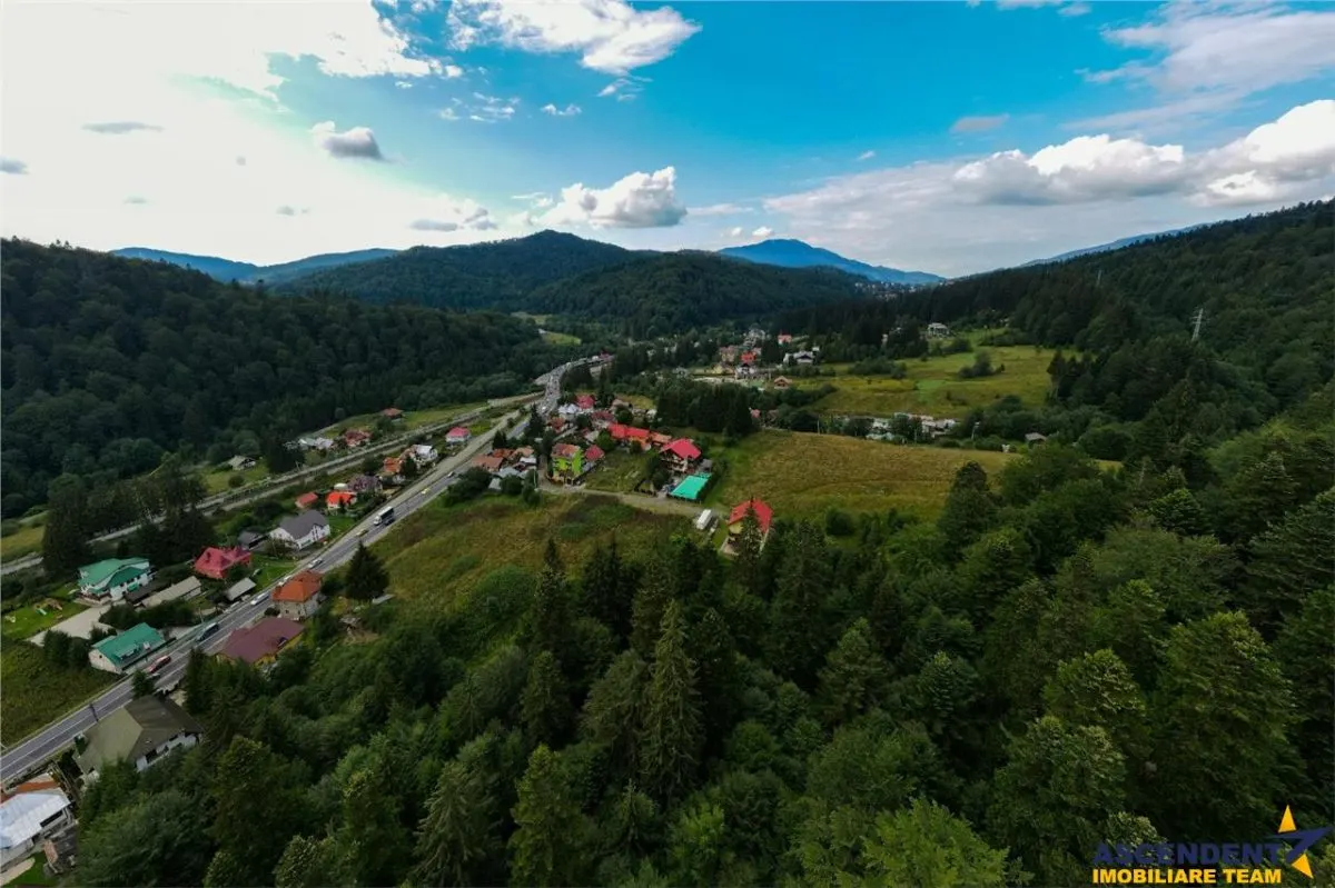 Arta si design in incantarea naturii, oportunitate rezidential/ turistic, Predeal, Brasov - foto 15