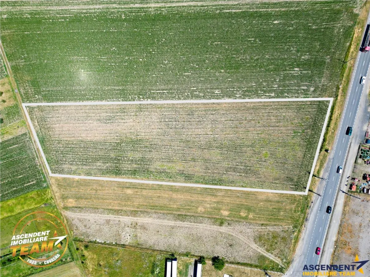 8.400mp, la DN12, cu Certificat Urbanism, teren intravilan, Chichis, Covasna. - foto 4