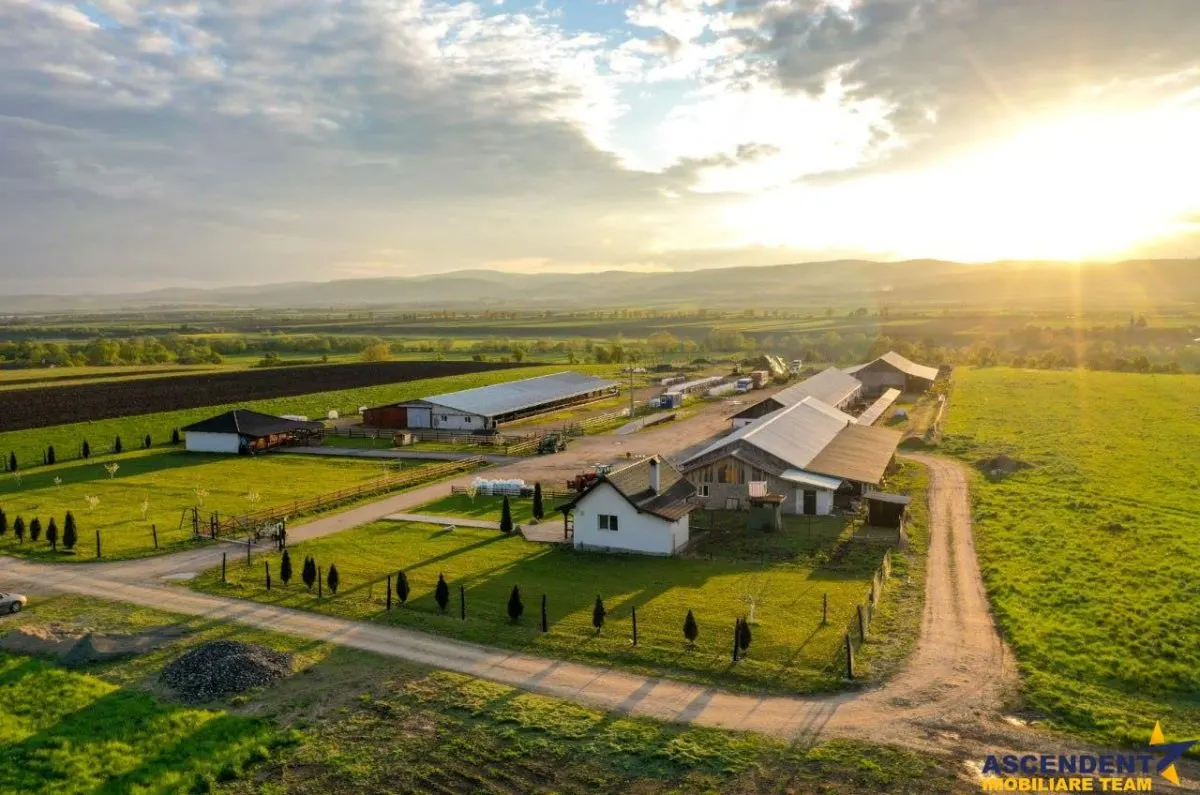 Ferma+Anexe specifice+ Constructie rezidentiala+222.000 mp domeniu - foto 1