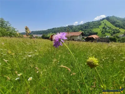 Teren 1.450 mp intravilan, la DN, cu priveliste de carte postala, Bran, Moieciu, Brasov - foto 15