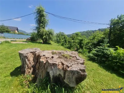 Teren 1.450 mp intravilan, la DN, cu priveliste de carte postala, Bran, Moieciu, Brasov - foto 24