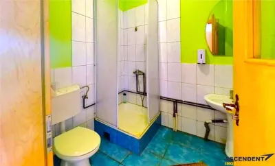 Tur 3D! Proprietate versatila:rezidential/ comercial/investitional,Bereni,Mures - foto 19