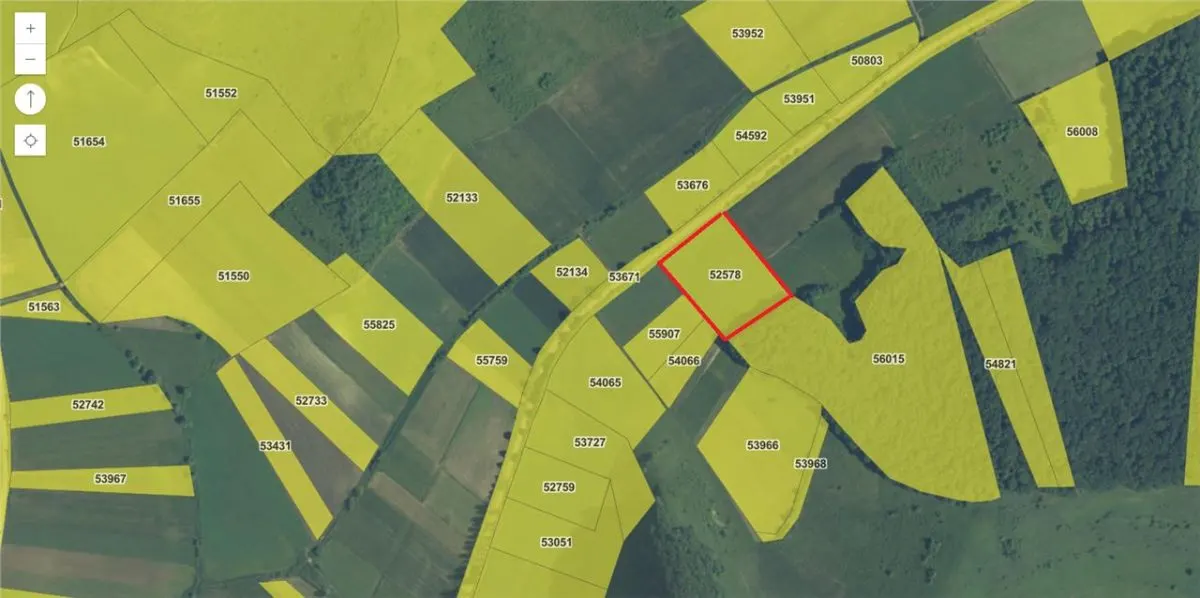 Teren arabil agricol, 1 Ha, langa asfalt - foto 1