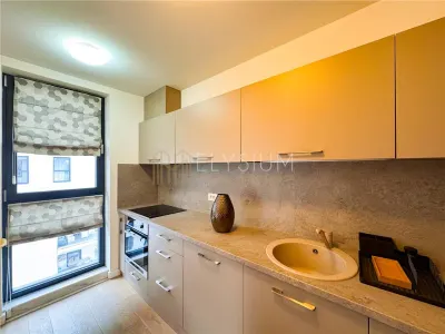 Apartament de inchiriat 2 camere One Herastrau Plaza - foto 7