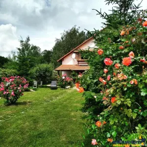 Intr o pozitionare cu apa curgatoare si incantare montana, Dejani, Fagaras - Fagaras