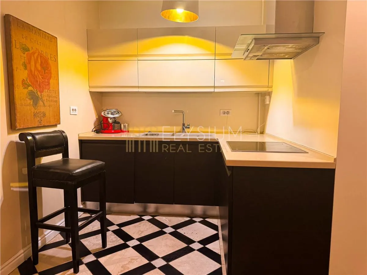 Apartament 2 camere de inchiriat Herastrau Nordului - foto 13