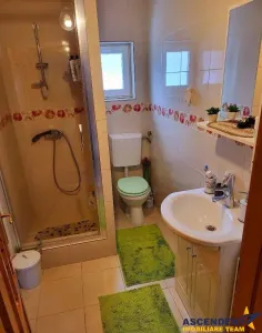 Vila Cristian, mobilata si utilata, gradina, pomi fructiferi, spatii recreere - foto 13