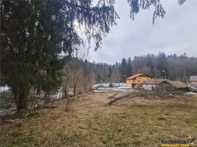 Incadrata de 4.200mp teren, Vila cu potential turistic, in inima Predealului - foto 9