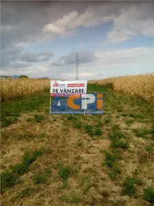 Teren, Traian Bacau - foto 2