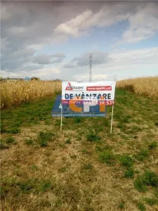 Teren, Traian Bacau - foto 3