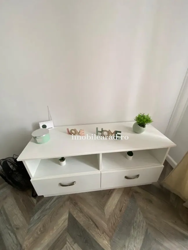 Apartament 60 Euro pe zi, amenajat in stil unic langa Primaria Arad - foto 3