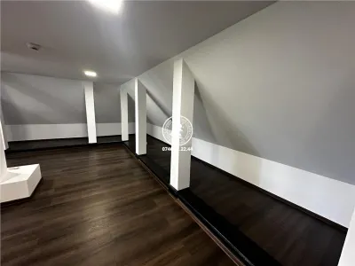 Vila  de inchiriat  Pacurari, - foto 12