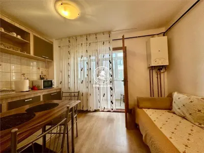 Apartament 1 camera  de inchiriat  Pacurari, - foto 2