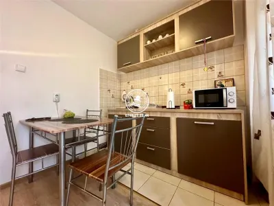 Apartament 1 camera  de inchiriat  Pacurari, - foto 3