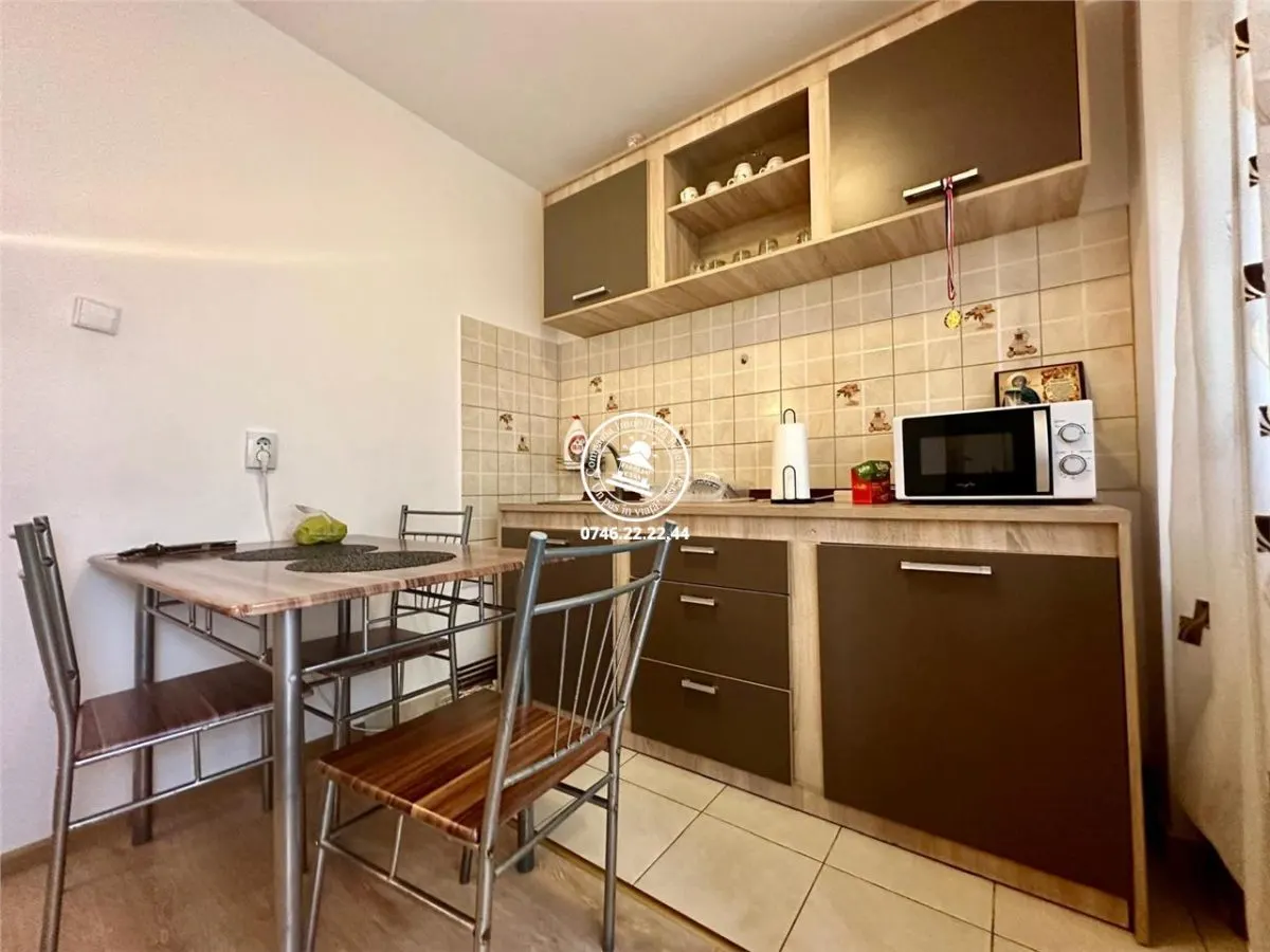 Apartament 1 camera  de inchiriat  Pacurari, - foto 3