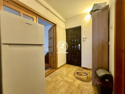 Apartament 1 camera  de inchiriat  Pacurari, - foto 8