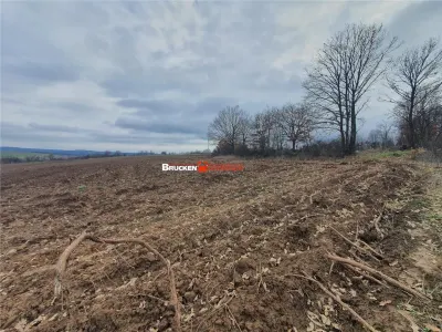 Teren de vanzare - foto 5