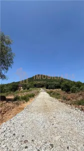 Parcele 10-15 ari teren intravilan, zona Grivitei - foto 4