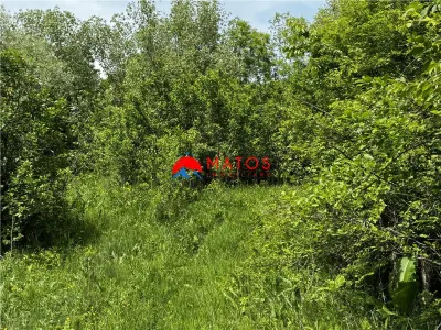 Teren intravilan 1.300 mp Ã®n Cornu de Jos, Prahova â€“ zona linistita, utilitati aproape, pret 35.000 â‚¬ - foto 10
