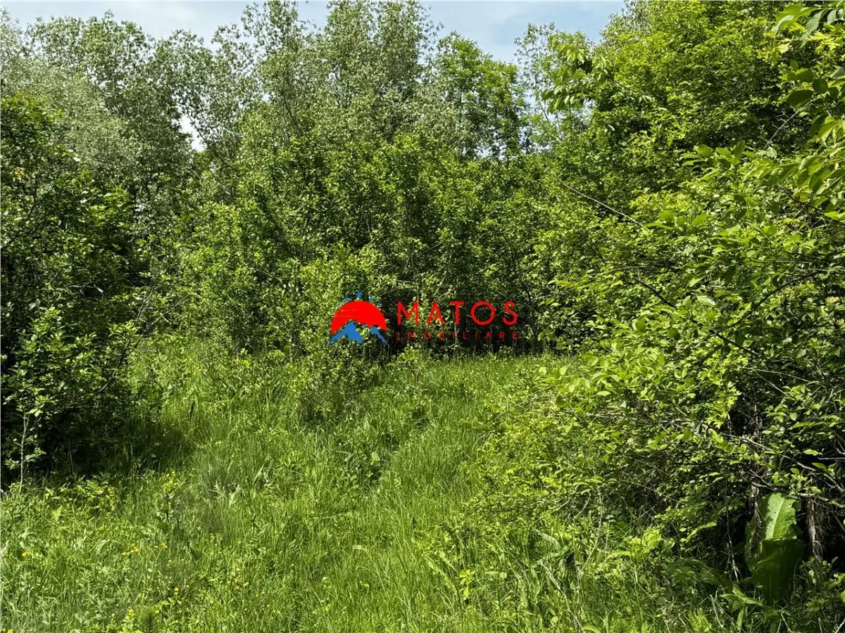 Teren intravilan 1.300 mp Ã®n Cornu de Jos, Prahova â€“ zona linistita, utilitati aproape, pret 35.000 â‚¬ - foto 10
