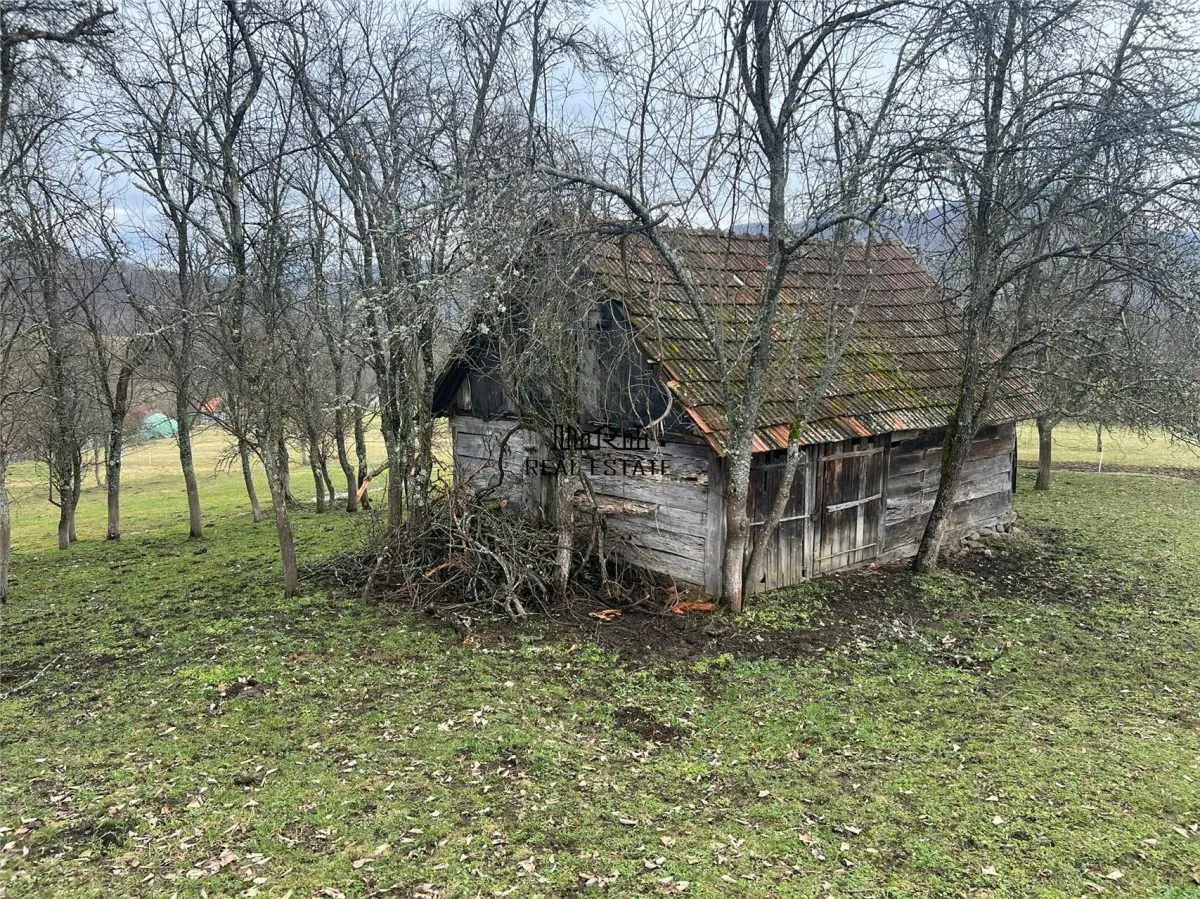 Teren intravilan si extravilan Luncoiu de Jos - foto 1