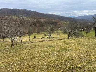 Teren intravilan si extravilan Luncoiu de Jos - foto 2