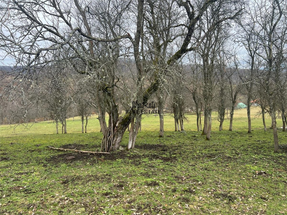 Teren intravilan si extravilan Luncoiu de Jos - foto 16