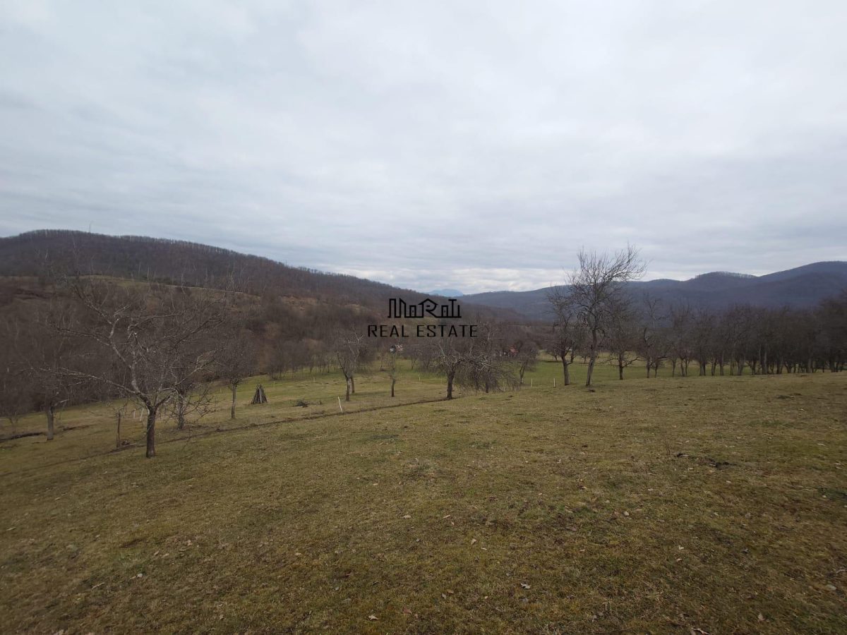 Teren intravilan si extravilan Luncoiu de Jos - foto 17