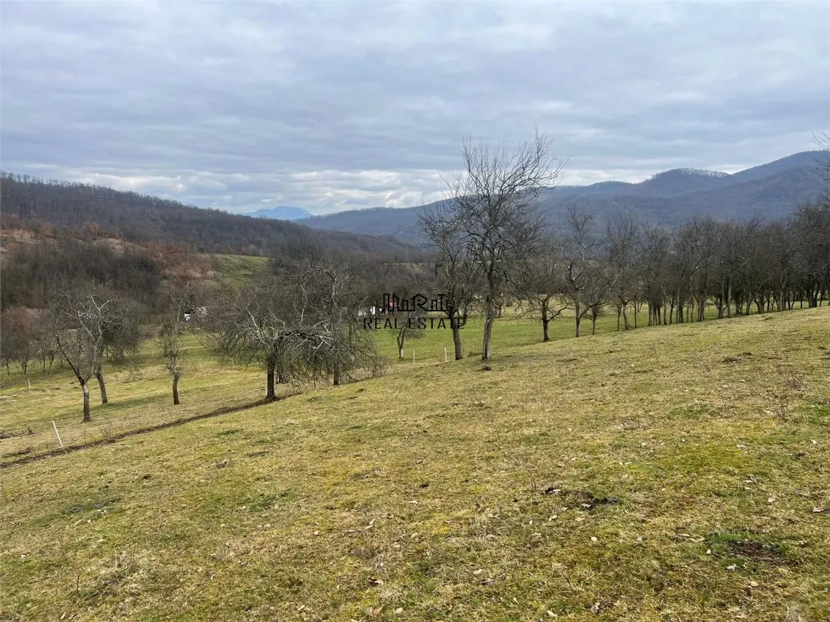 Teren intravilan si extravilan Luncoiu de Jos - foto 4
