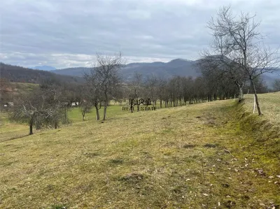 Teren intravilan si extravilan Luncoiu de Jos - foto 5