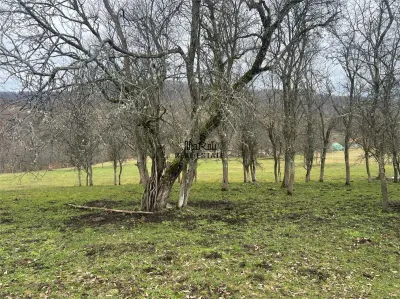 Teren intravilan si extravilan Luncoiu de Jos - foto 8