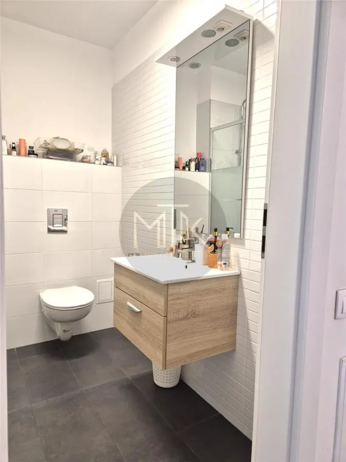 Vila superba, mobilata & utilata, Erou Iancu Nicolae - Pipera - foto 10