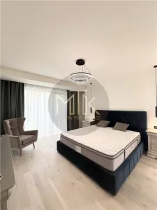 VIla lux 5 camere & Piscina I Pipera-Iancu Nicolae I Mobilata&utilata - foto 10
