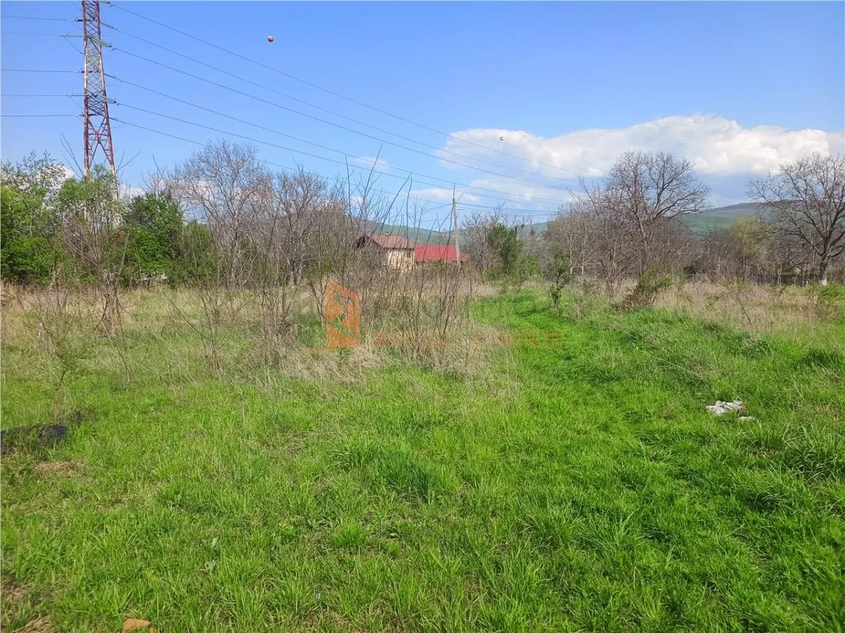 Teren intravilan si extravilan zona Viperesti - foto 1