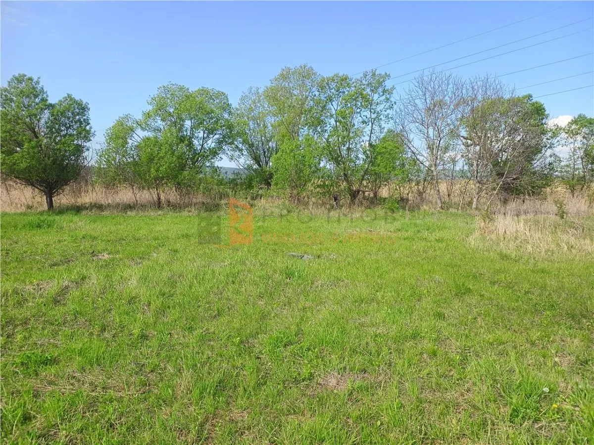 Teren intravilan si extravilan zona Viperesti - foto 3