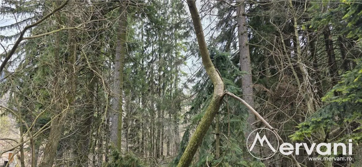 Etaj vilă istorică de vânzare în Sinaia â€“ Zona Furnica - foto 8