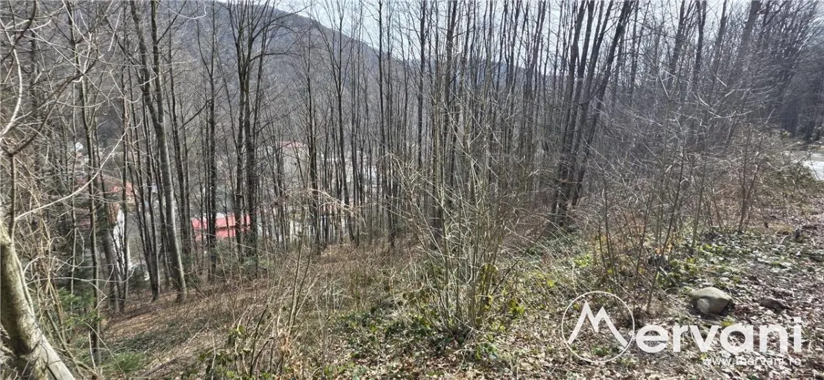 Tere intravilan de vanzare in Sinaia - foto 1