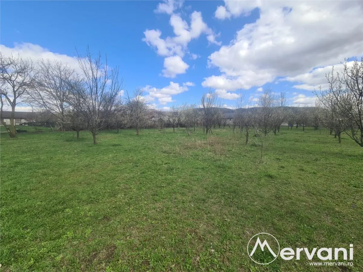 Teren de vanzare in Brebu - Zona Brebu Megiesesc - foto 1
