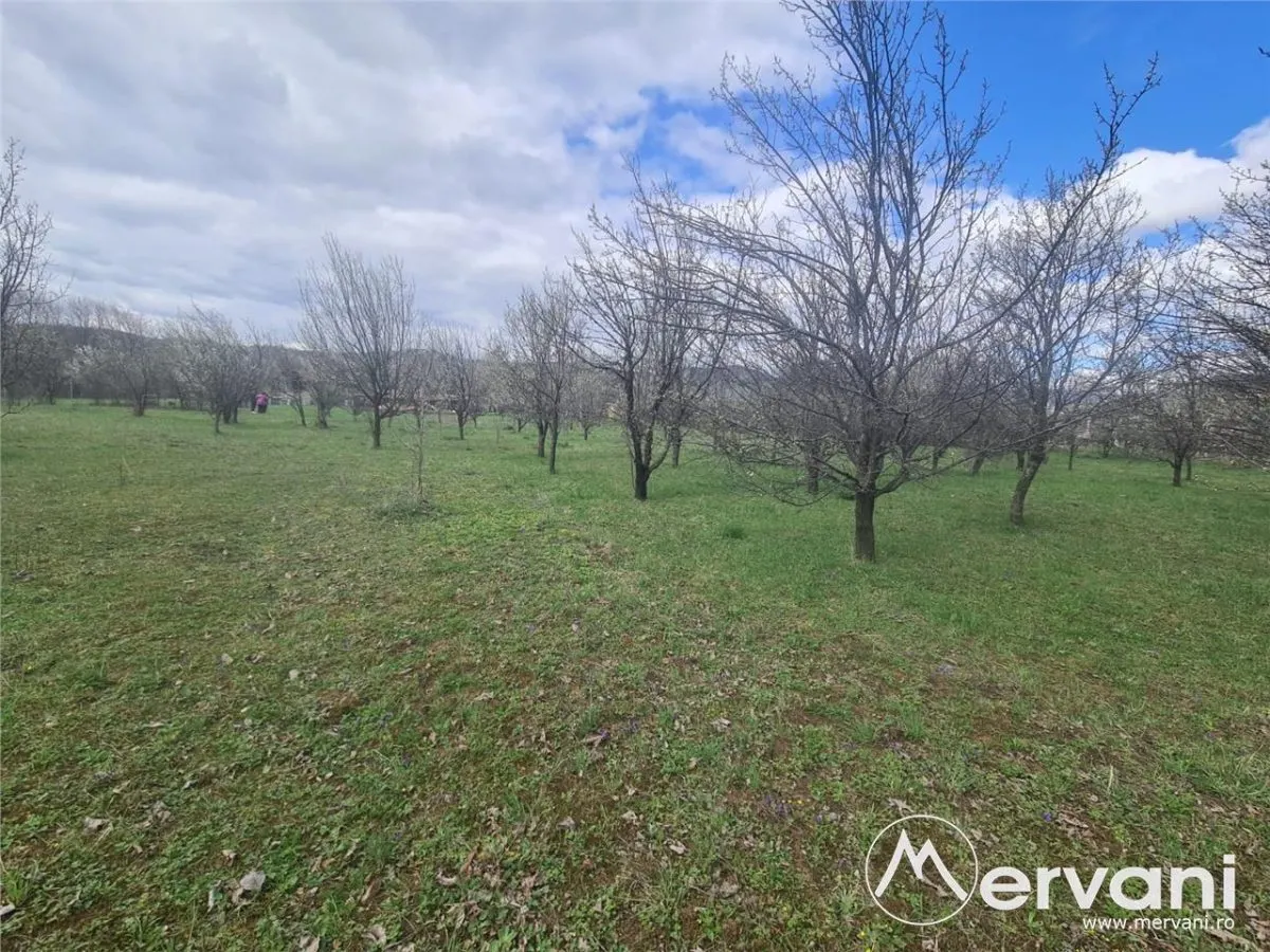 Teren de vanzare in Brebu - Zona Brebu Megiesesc - foto 11