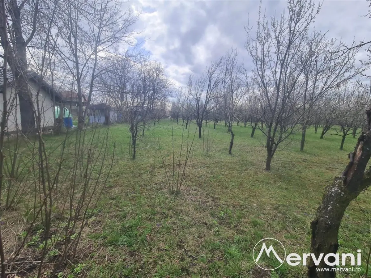 Teren de vanzare in Brebu - Zona Brebu Megiesesc - foto 9