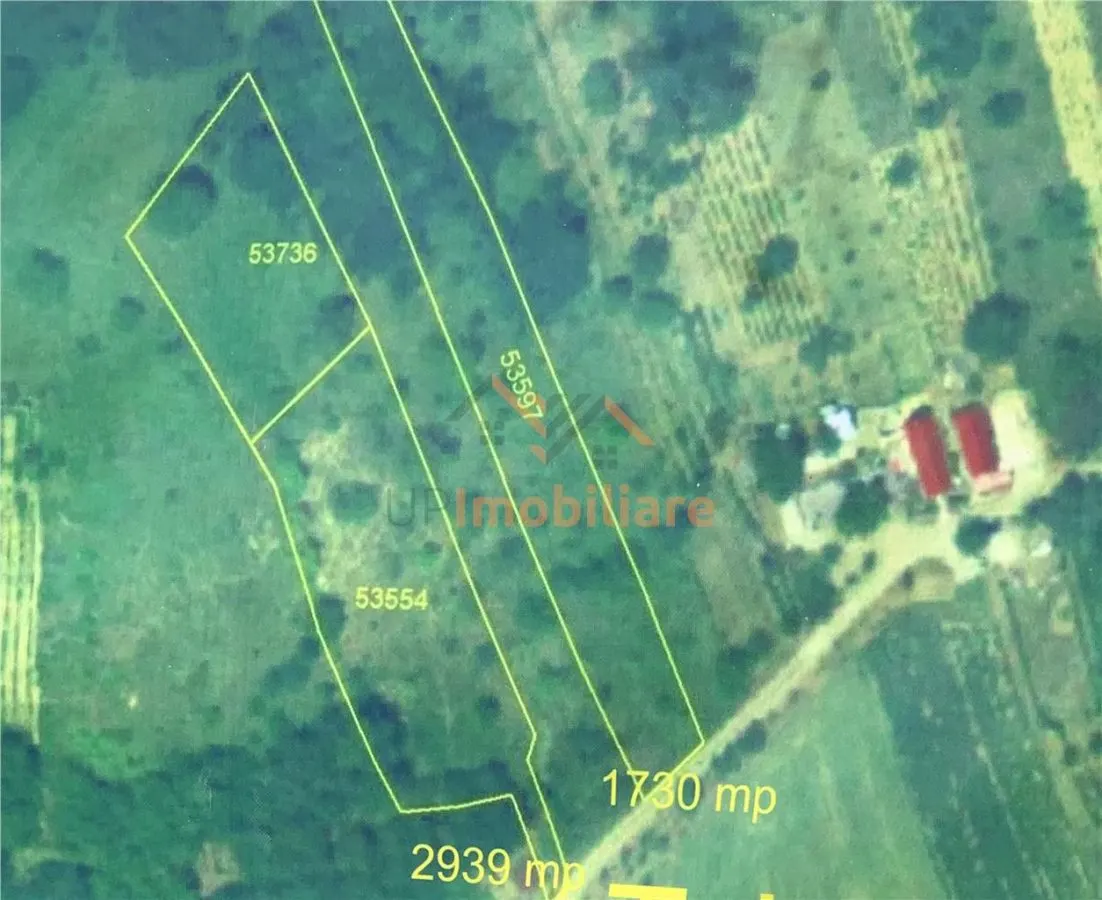 TEREN EXTRAVILAN  |  1730 MP |  UILEACUL DE CRIS | BIHOR - foto 1